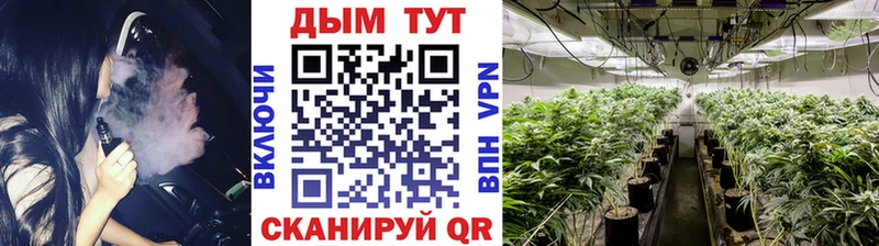 Псилоцибиновые грибы Тайшет