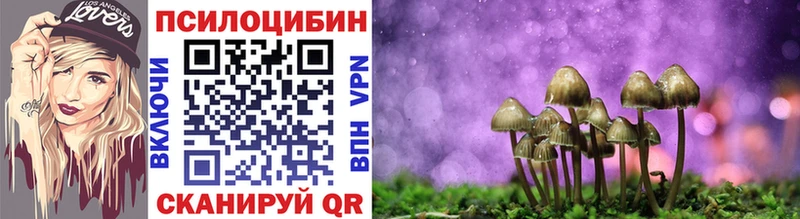 Галлюциногенные грибы Cubensis Тайшет