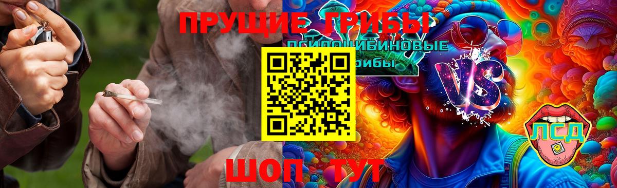 Галлюциногенные грибы Psilocybine cubensis Тайшет